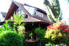 Coconut Sands 